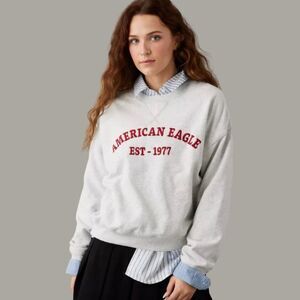 American Eagle Funday Graphic Crewneck Sweatshirt - Size Small, Heather Gray/Red